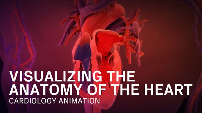 Anatomy of the Heart - Medical Animation