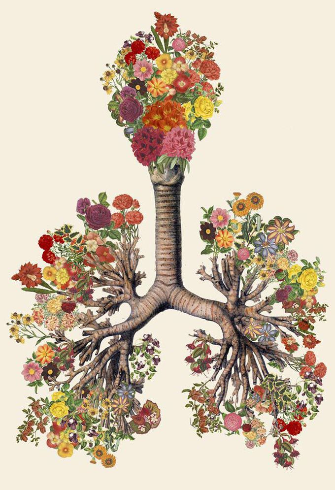Beautiful Lung Art Work Medizzy