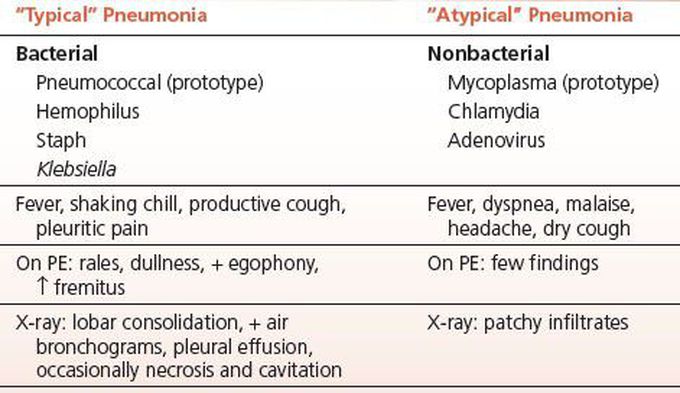 Typical Pneumonia vs Atypical Pneumonia | Community Acquired Pneumonia