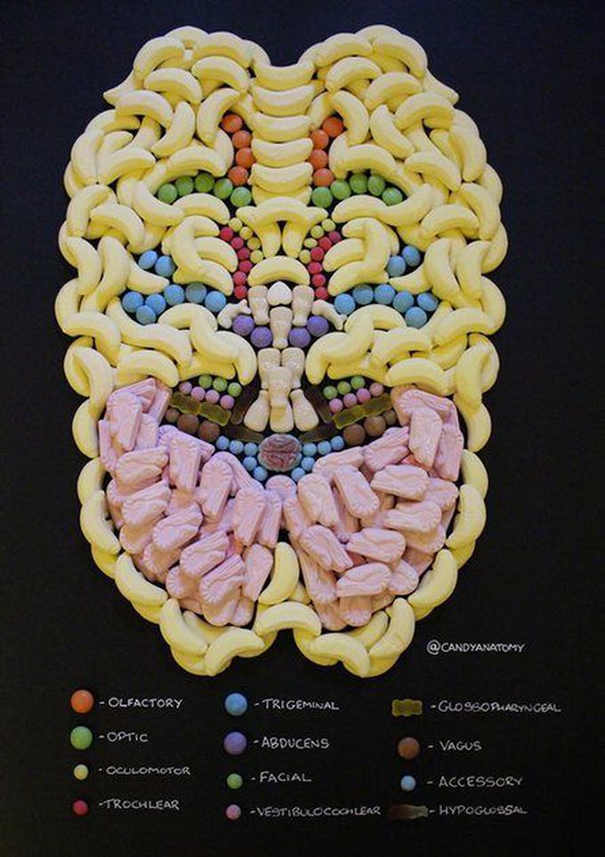 Brain inferior with sweet decoration 😃