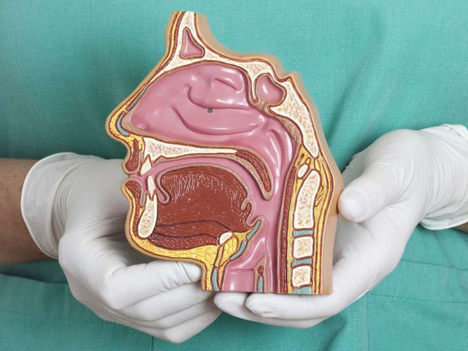Balloon sinuplasty: Facts, costs, and recovery