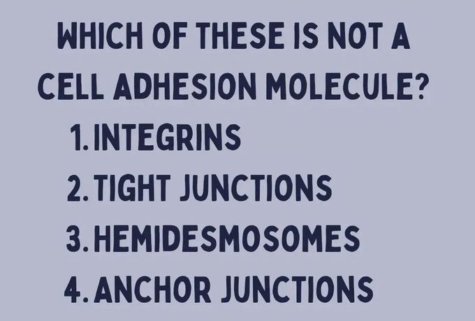 Cell Adhesion Molecule