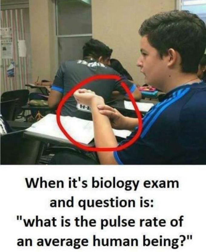 Cheat the system man😂😂