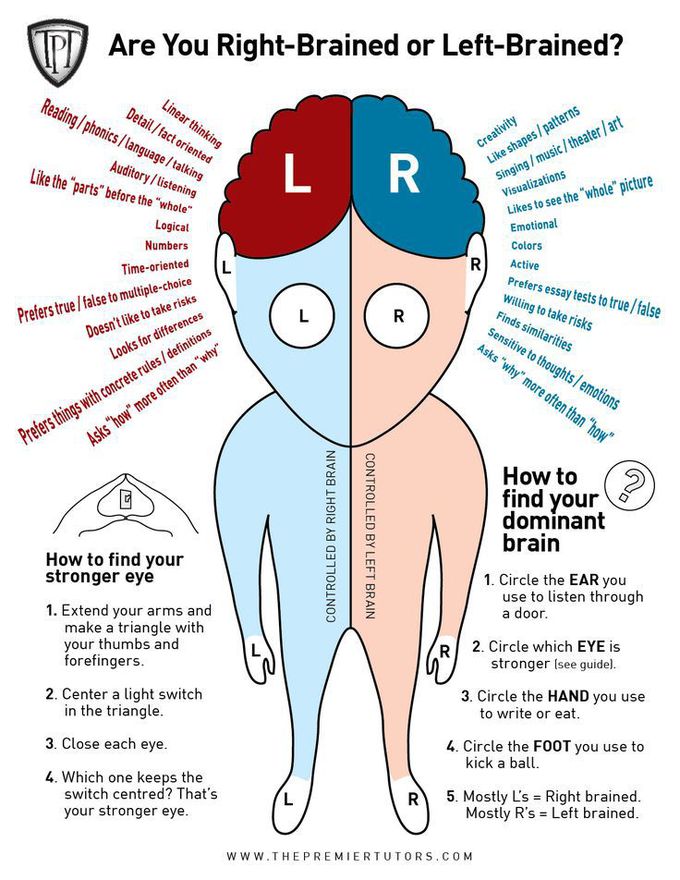 Are You Left-Brained or Right-Brained? Part I | Right brain, Left vs right brain, Psychology facts
