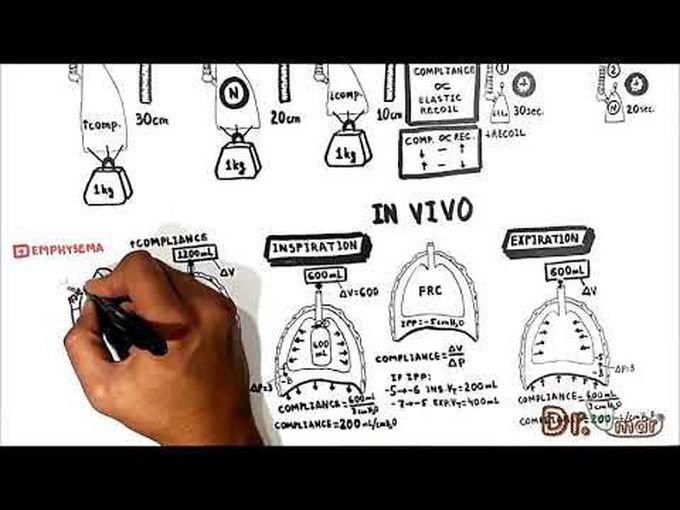 Lung Compliance and Elastic Recoil