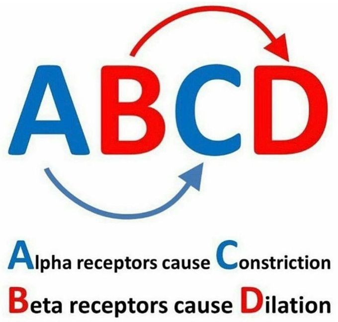 Alpha and Beta Blockers