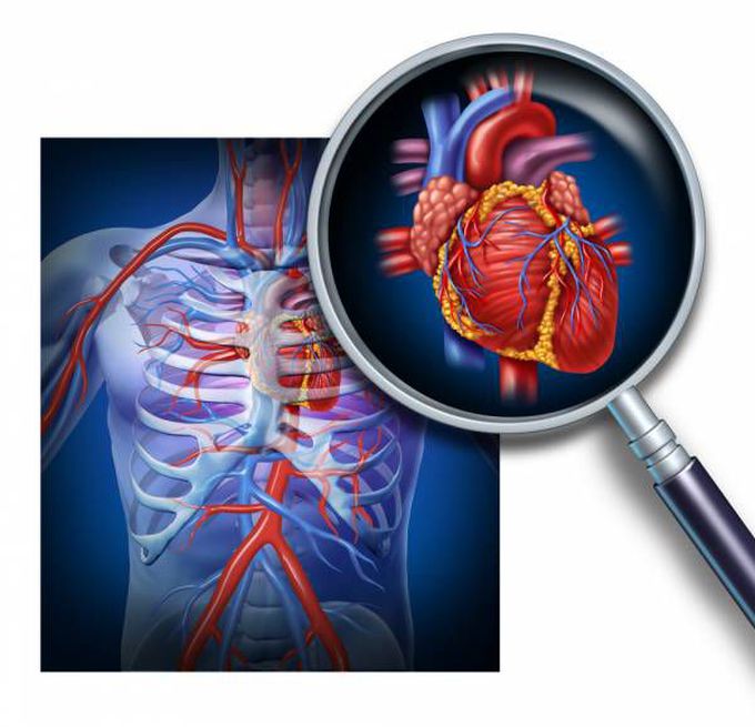 10 Awesome and Little-Known Facts About the Human Body