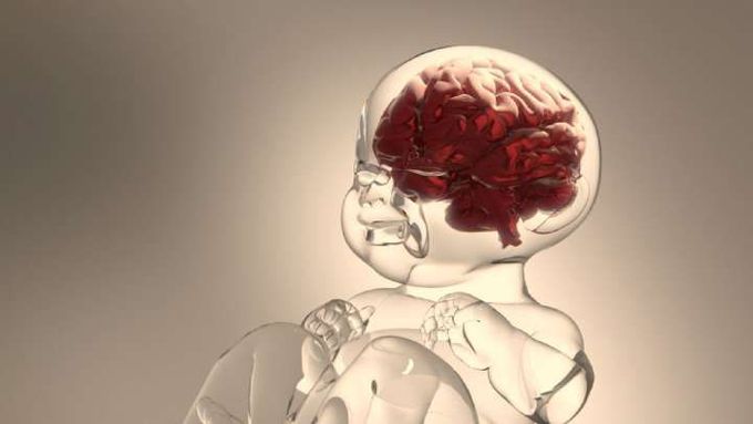 Surgeons Found Fully Formed Teeth Deep Inside A Baby's Brain