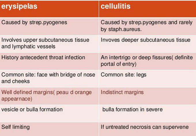 erysipelas vs cellulitis