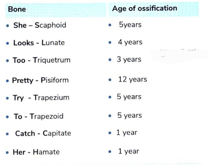 Ossification Age of Carpal Bones