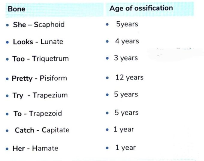 ossification of carpal bones