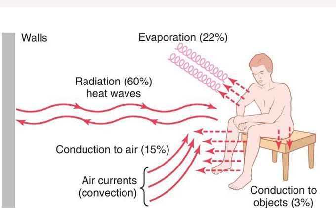 Heat loss