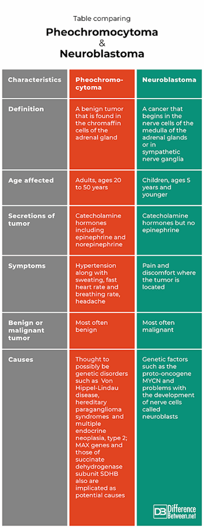 Pheochromocytoma and Neuroblastoma