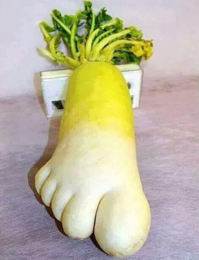 Foot 😁