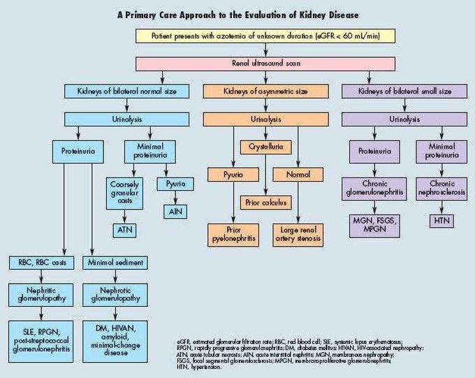 Evaluation of kidney disease