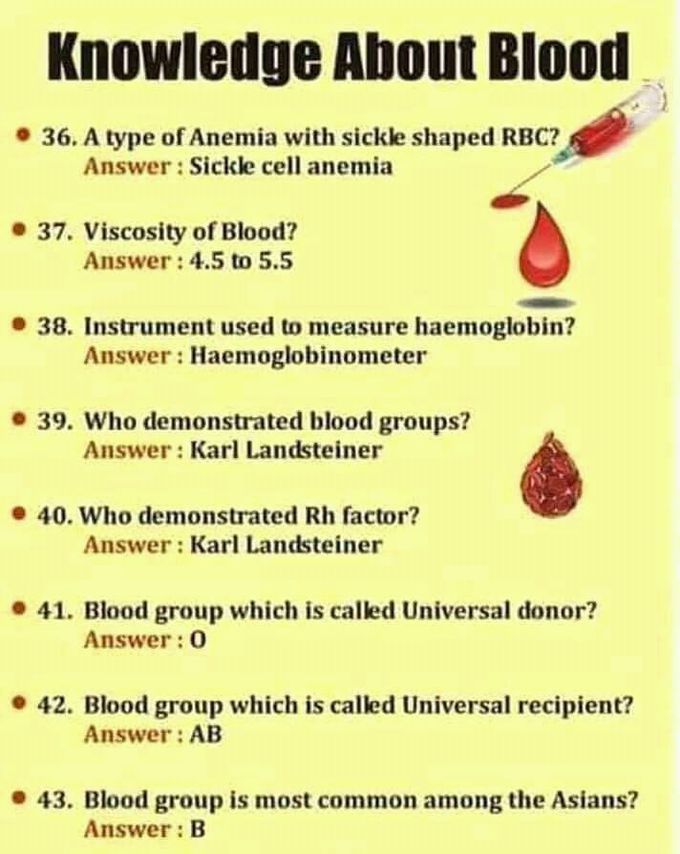 Infarmation about Blood