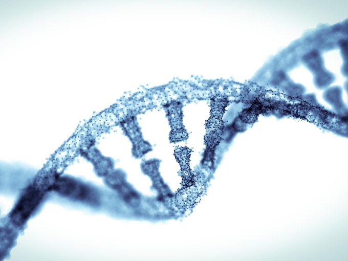 DNA can be manipulated to create tiny machines and computers