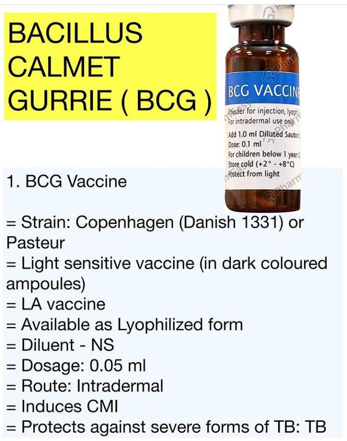 BCG Vaccine