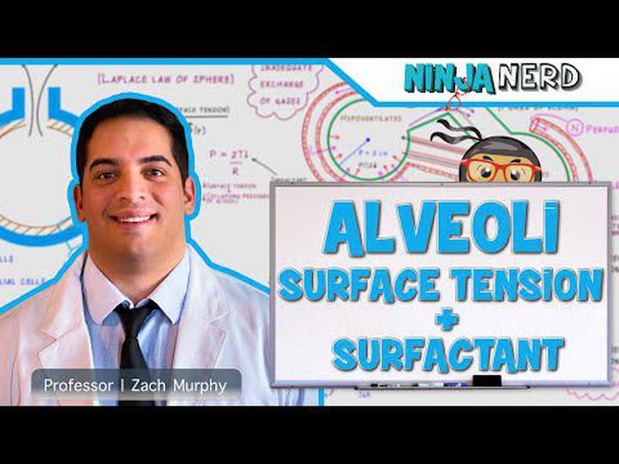 Surface Tension and the Affect of 
Surfactant - A Detailed Insight