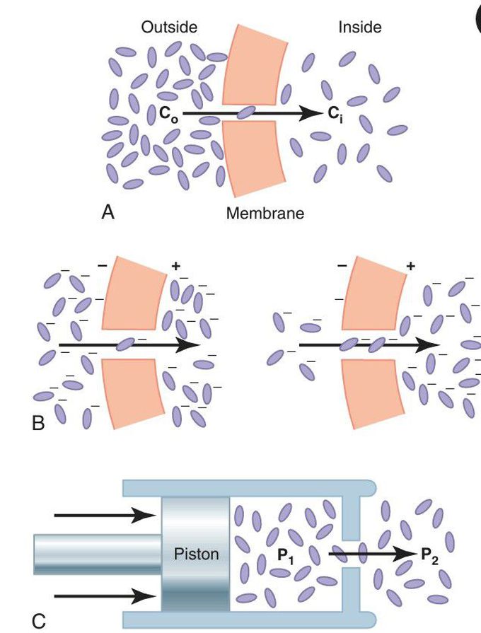 Effect of concentration