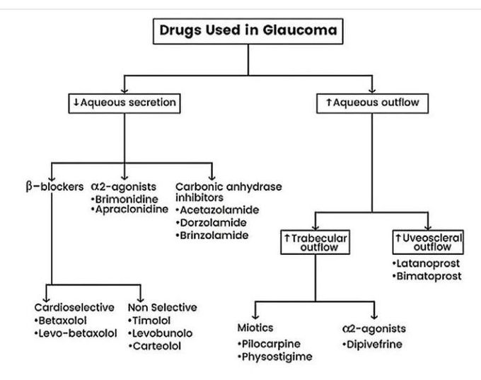 Drugs for Glaucoma