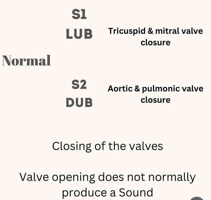 Heart Sounds