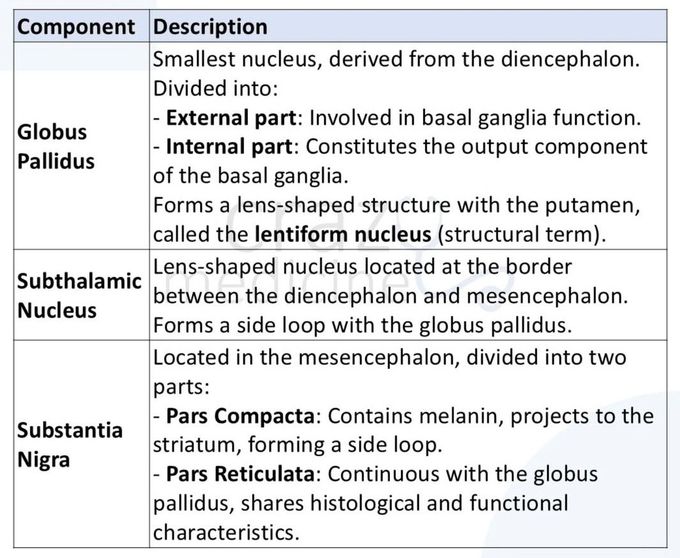 Basal Ganglia III