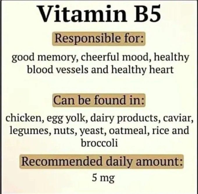 Vitamin Series : Vitamin B5