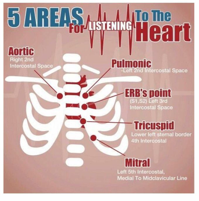 Auscultation point