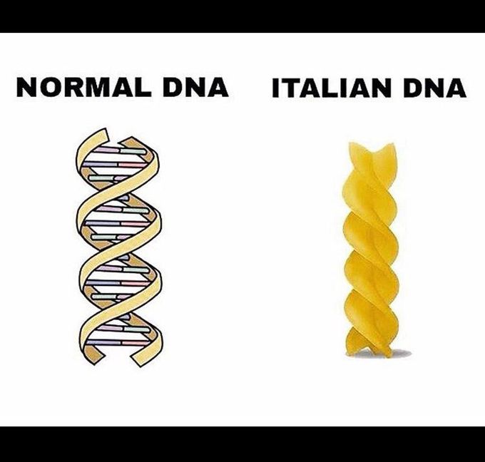 . . . . .