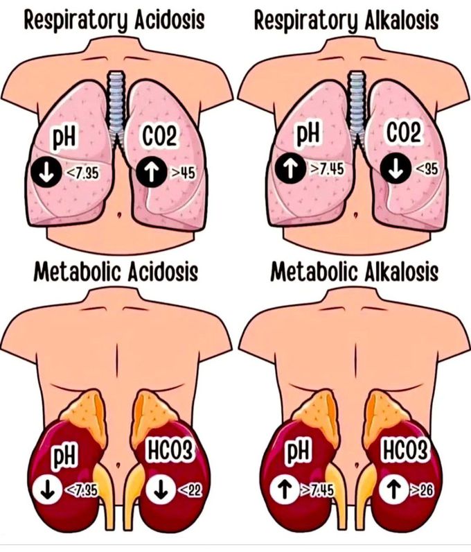 Acid Base Balance