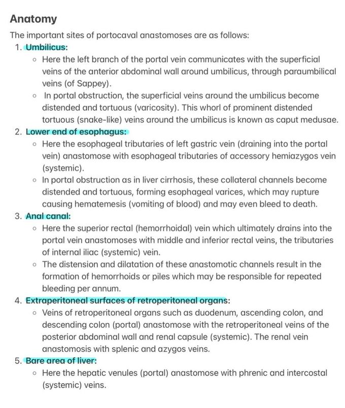 Portal Hypertension III