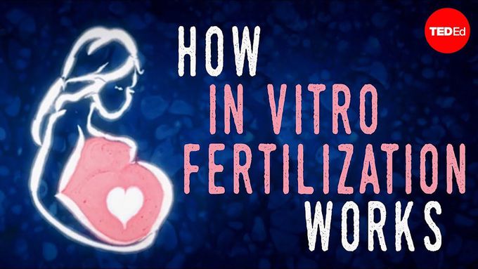 In-Vitro Fertilization