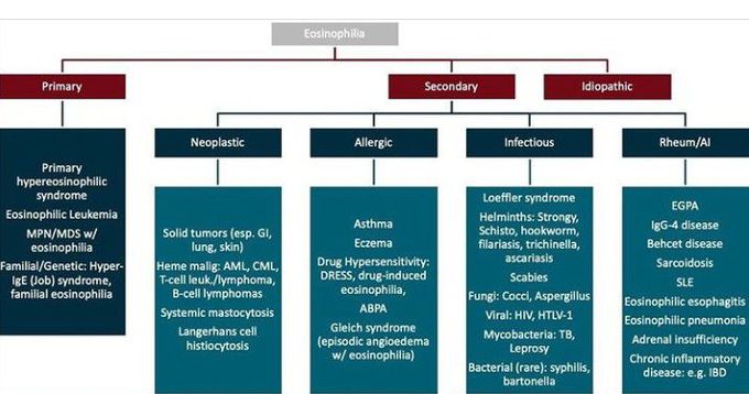 Eosinophilia-differential diagnosis