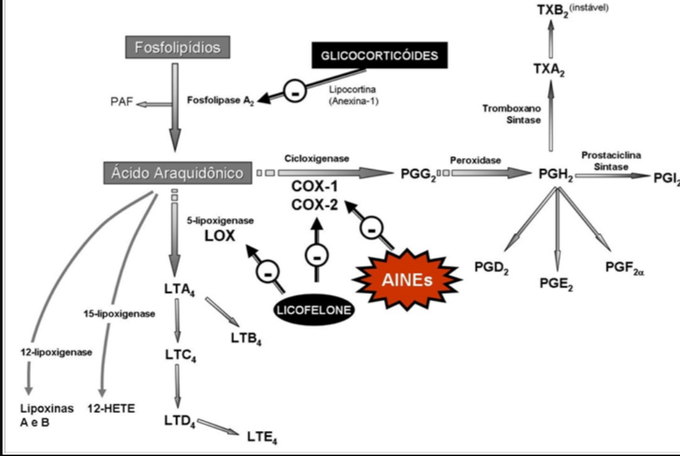 Antiinflamatorios