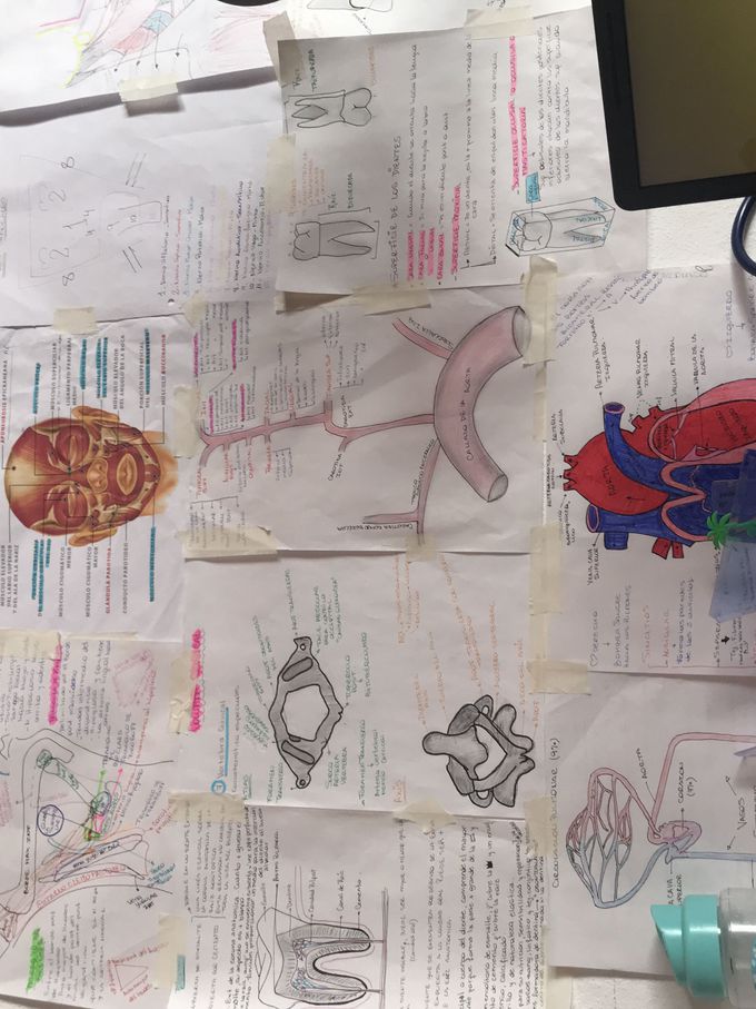 👩🏽‍⚕️📖📚❤️