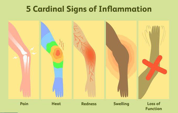 SIGNS OF INFLAMMATION