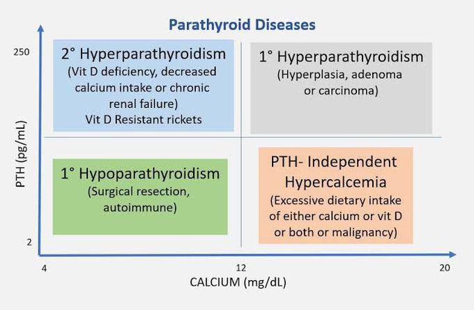 Diagnosing Parathyroid Disease
