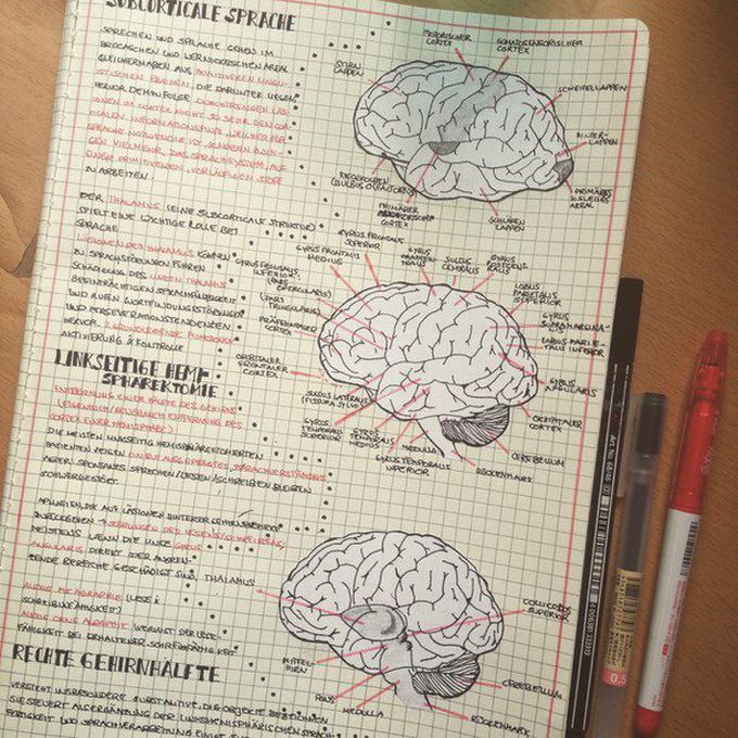 Motivation study