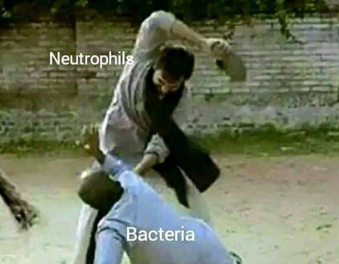 Immunology