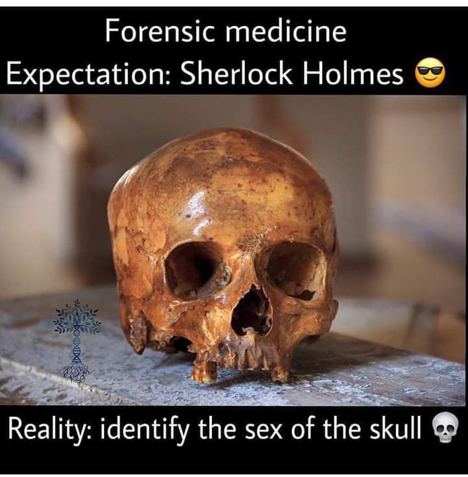 Forensic medicine/ post-vikram kumar