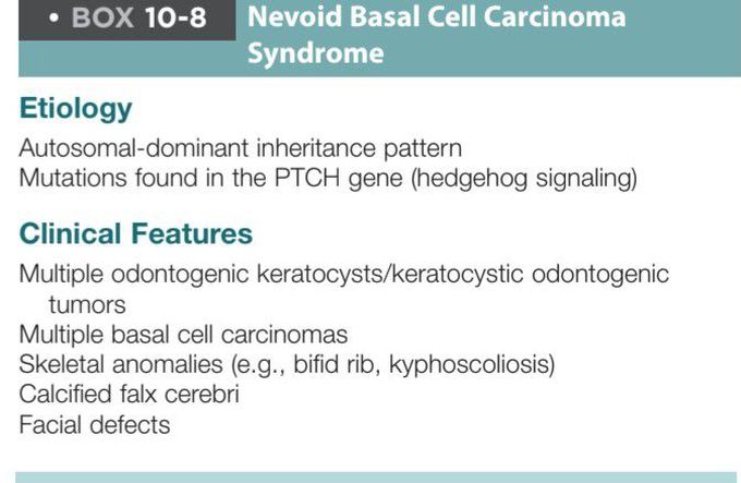 Nevoid basal cell carcinoma - MEDizzy