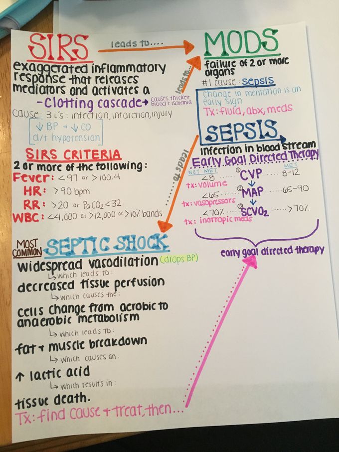 this really helped me study!