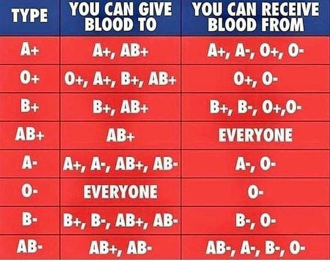 Blood group's