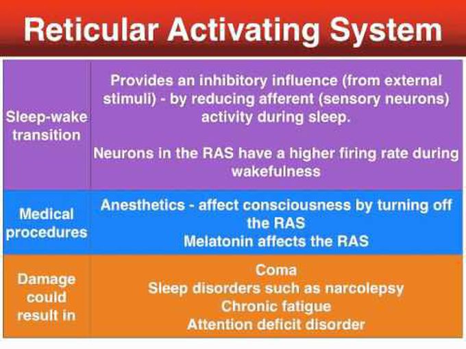 Reticular Activating System Made Easy