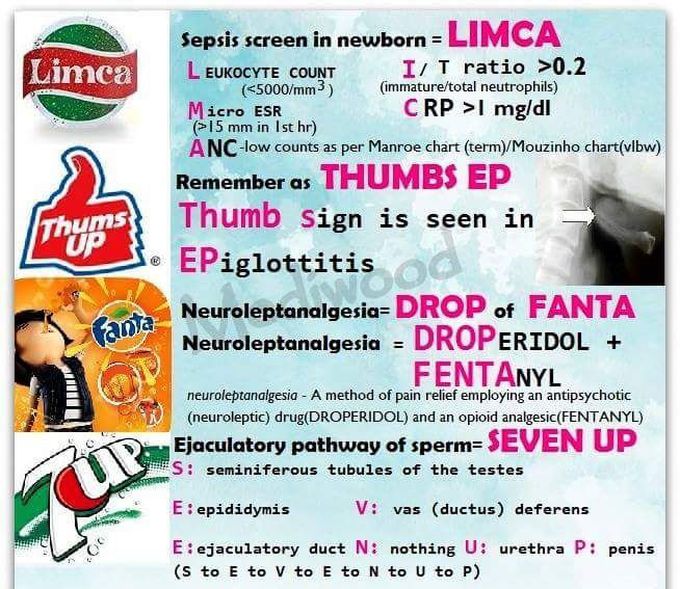 Mnemonics