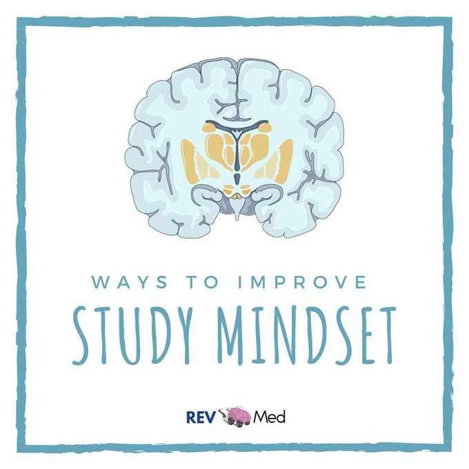 Ways to improve your Study Mindset!