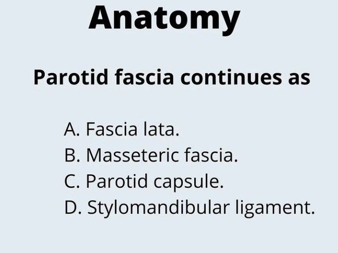 Parotid Fasia