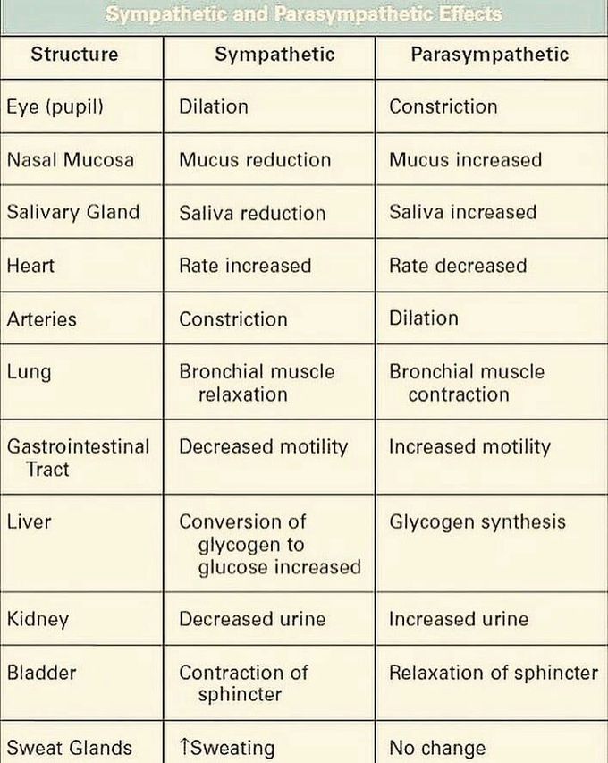Symapathetic vs. Parasympathetic effects on different organs