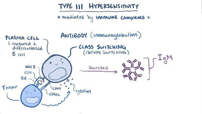 immune-complex-mediated-hypersensitivity-medizzy